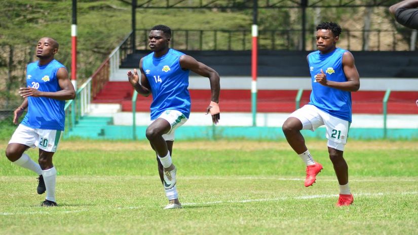Sharks warming up: Photo courtesy 