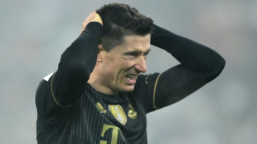 "Oh, wow, who am I going to play with?!" (Gallo Images)