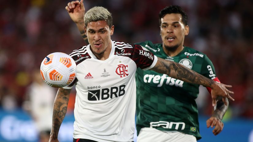 Palmeiras vs Flamengo (©Gallo images)