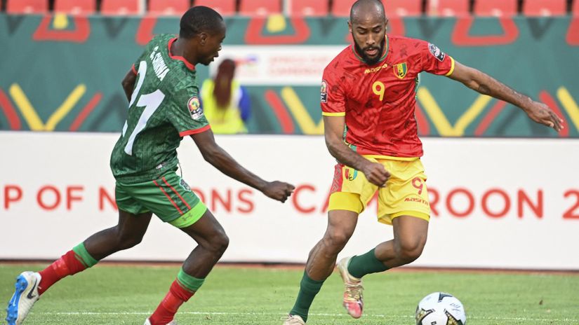 The National Elephants prevail (AFP)