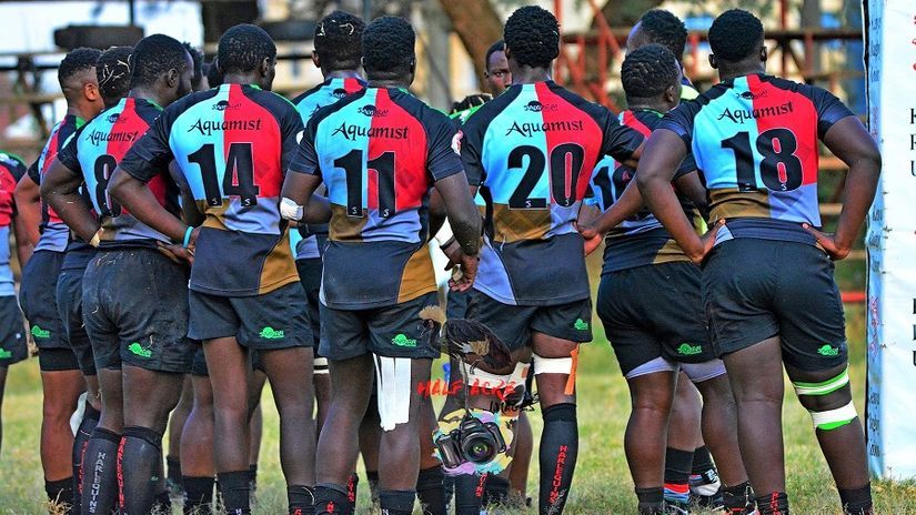 Kenya Harlequins © Denis Half-Acre