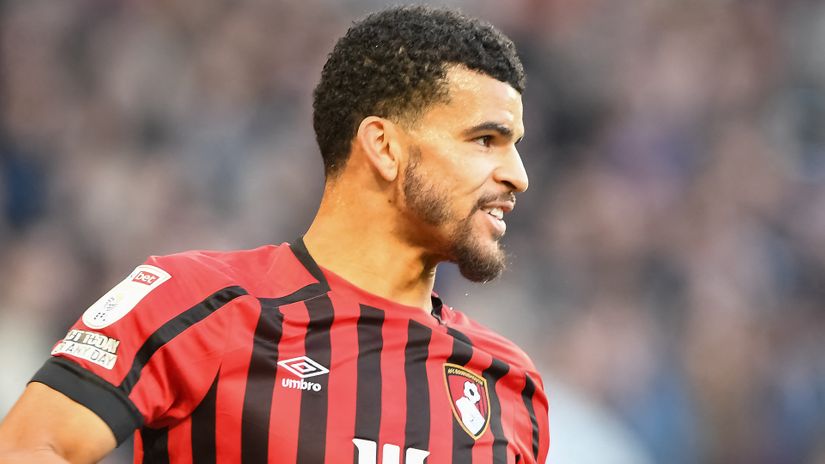 Dominic Solanke (©AFP)