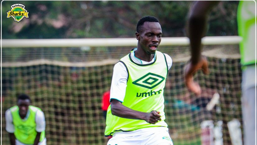 Tusker rope in Sharks trio, three others