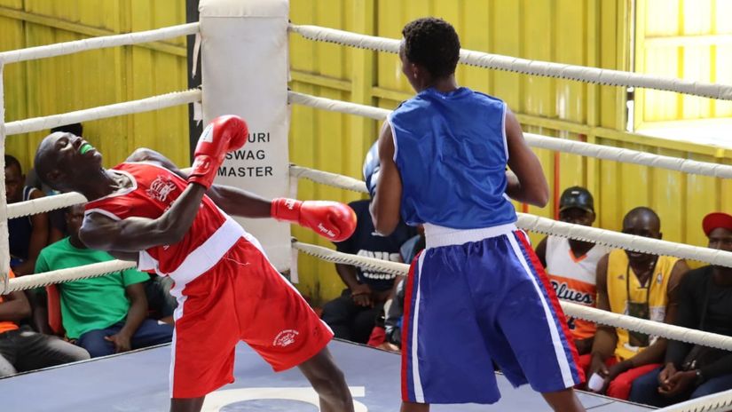 Nairobi county boxers shine on final day of the National novice championship