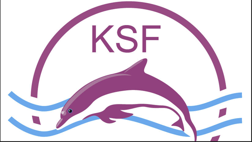 Kenya Swimming Federation elections to be held by June