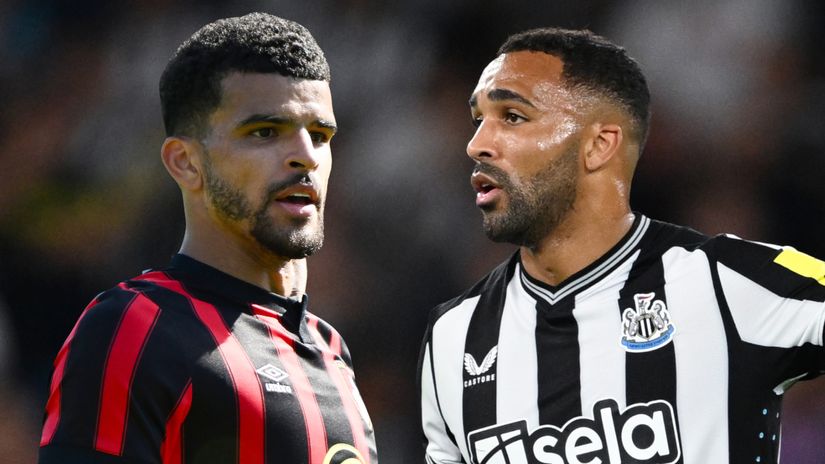 Dominic Solanke and Callum Wilson (©Getty Images)