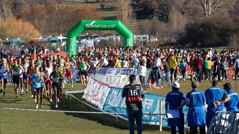 Top 5 Africa-Dominated Athletics Events to Watch in November 2025