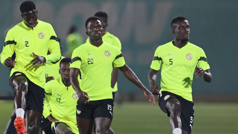 AFCON 2023: Preparations underway as teams reveal build-up plans for