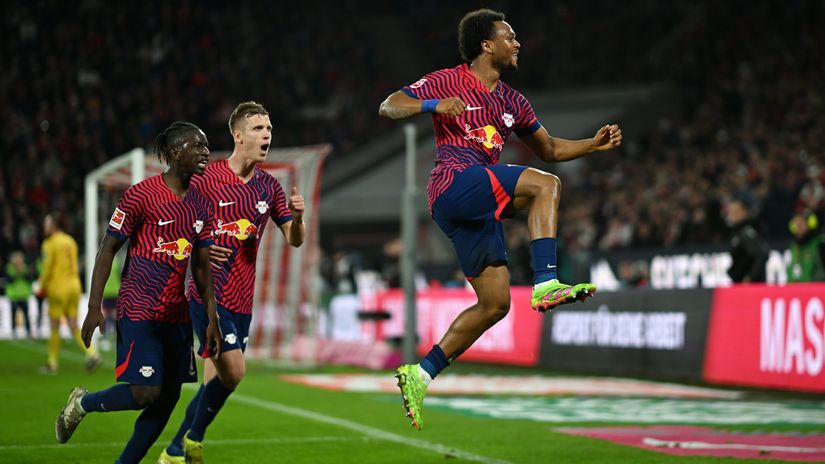 Bulls have stronger horns than Goats - much stronger!