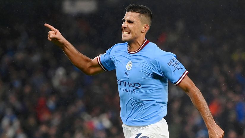 Rodri(©Shaun Botterill/Getty Images)