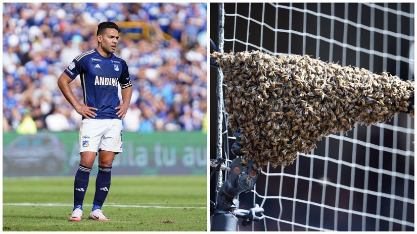 Radamel Falcao and swarm of wasps (©Getty Images)