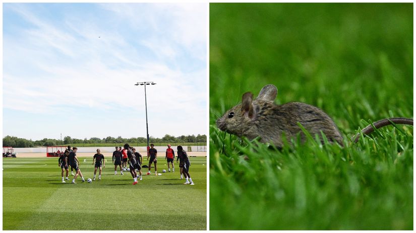 Bad terms for everyone (©Getty Images)