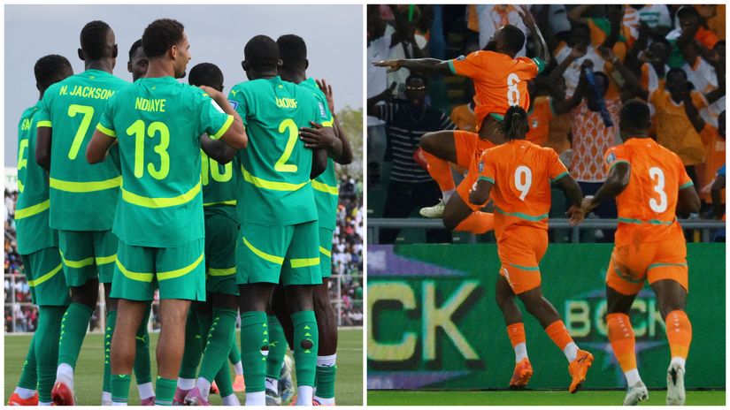 The Lions of Teranga and the Elephants may be seriously disadvantaged at the World Cup (©AFP/Gallo Images)