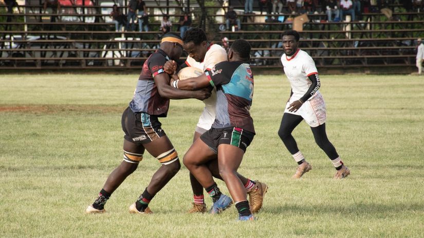 Nondies in action © Nashipae Tabby