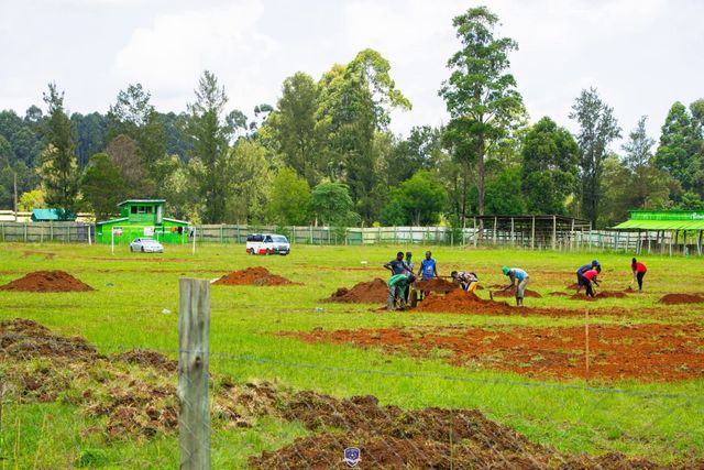 Eldoret Showgrounds, where Soy are likely to host home games